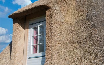 Felton thatch roof disadvantages
